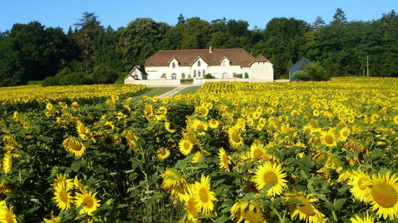 Domaine De La Maison Neuve Saint-Jean-Saint-Germain Exterior foto